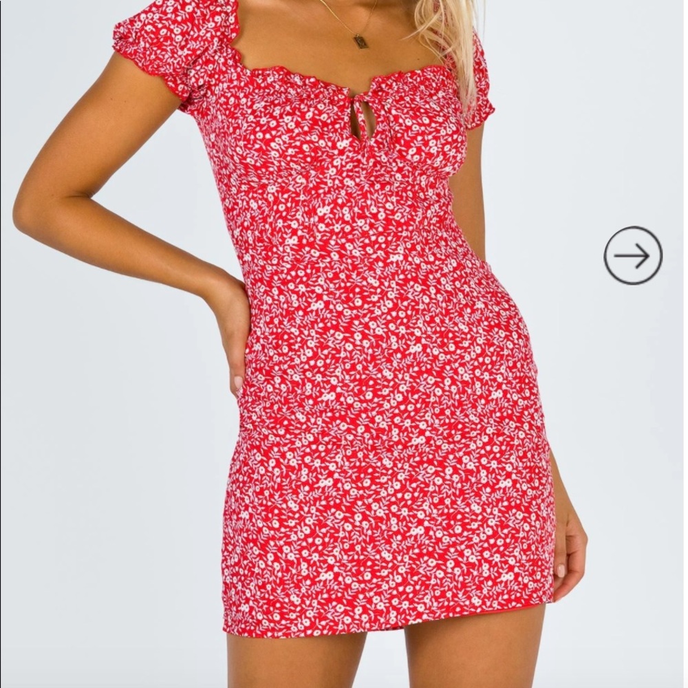 PRINCESS POLLY Red Floral Mini Dress NWT